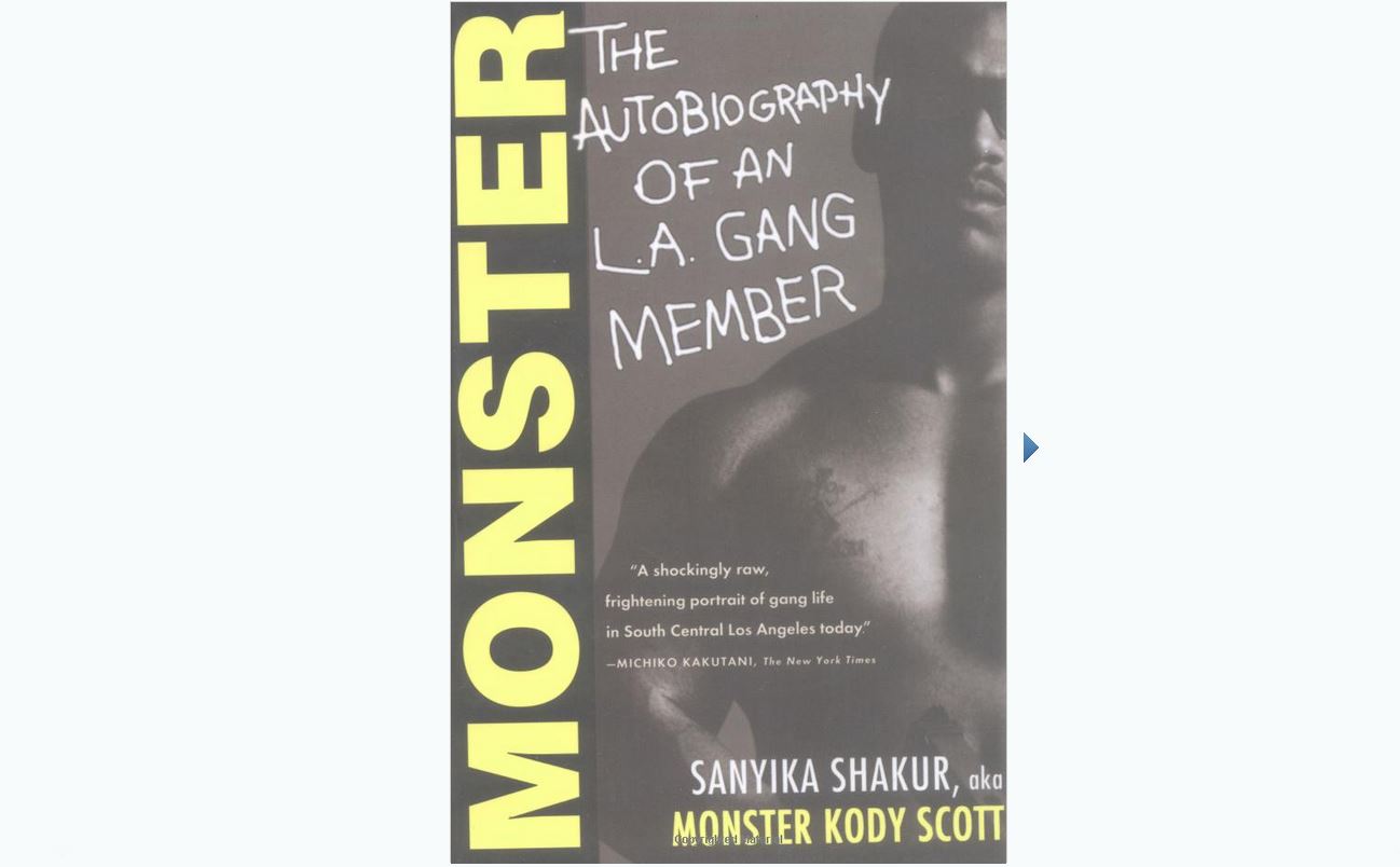 Book review of Monster, The Autobiography of an L.A. Gang Member