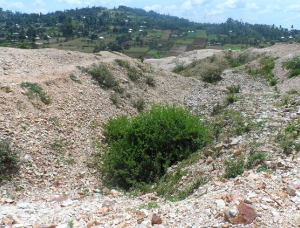 Tabaka Soapstone, Kisii