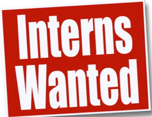 internship opportunities