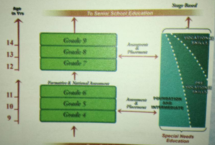 new curriculum in kenya senior school