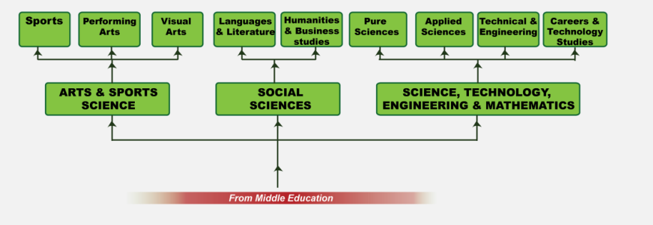 senior school learning subjects in kenya new curriculum