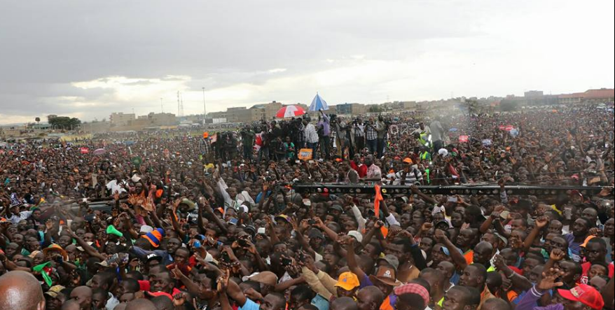 NASA in Jacaranda crowds