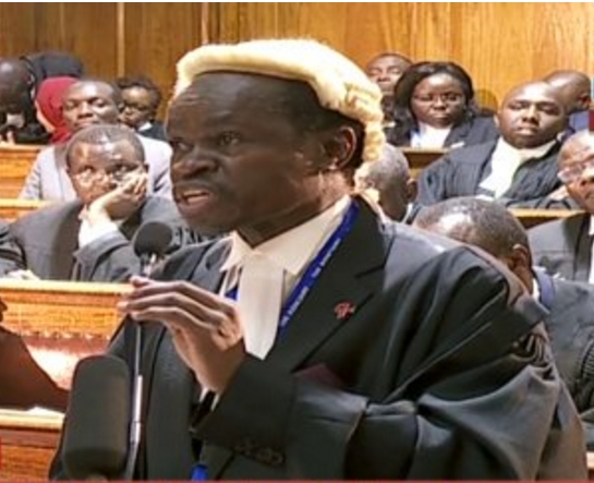 PLO Lulumumba address in supreme court and reactions of kenyans