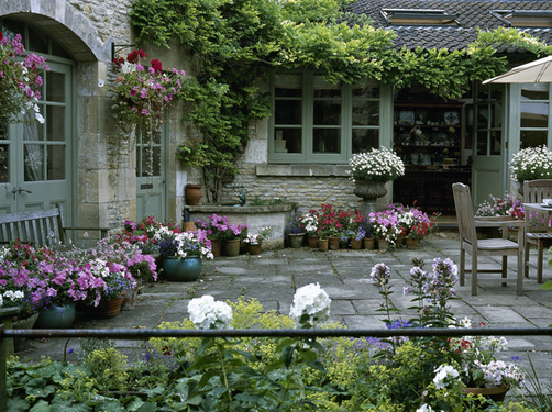 How to turn your balcony into a little garden