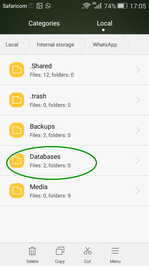 Whatsapp Databases folder