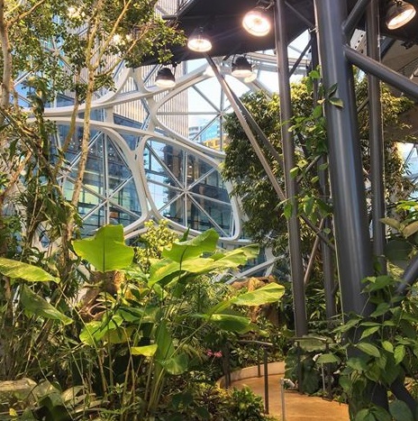 Walkways are some of the features inside the Amazon Spheres