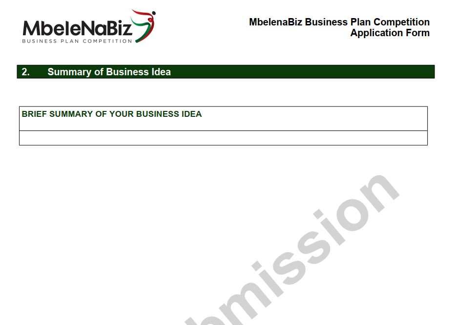 Summary of Mbele Na biz business idea