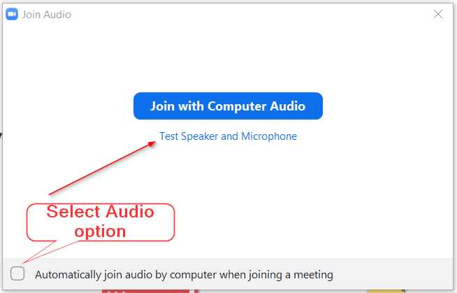 Zoom Audio Option