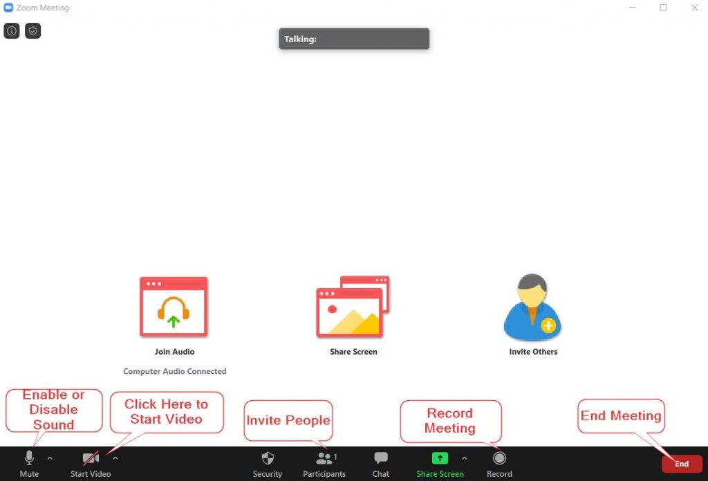 Zoom Meeting Interface